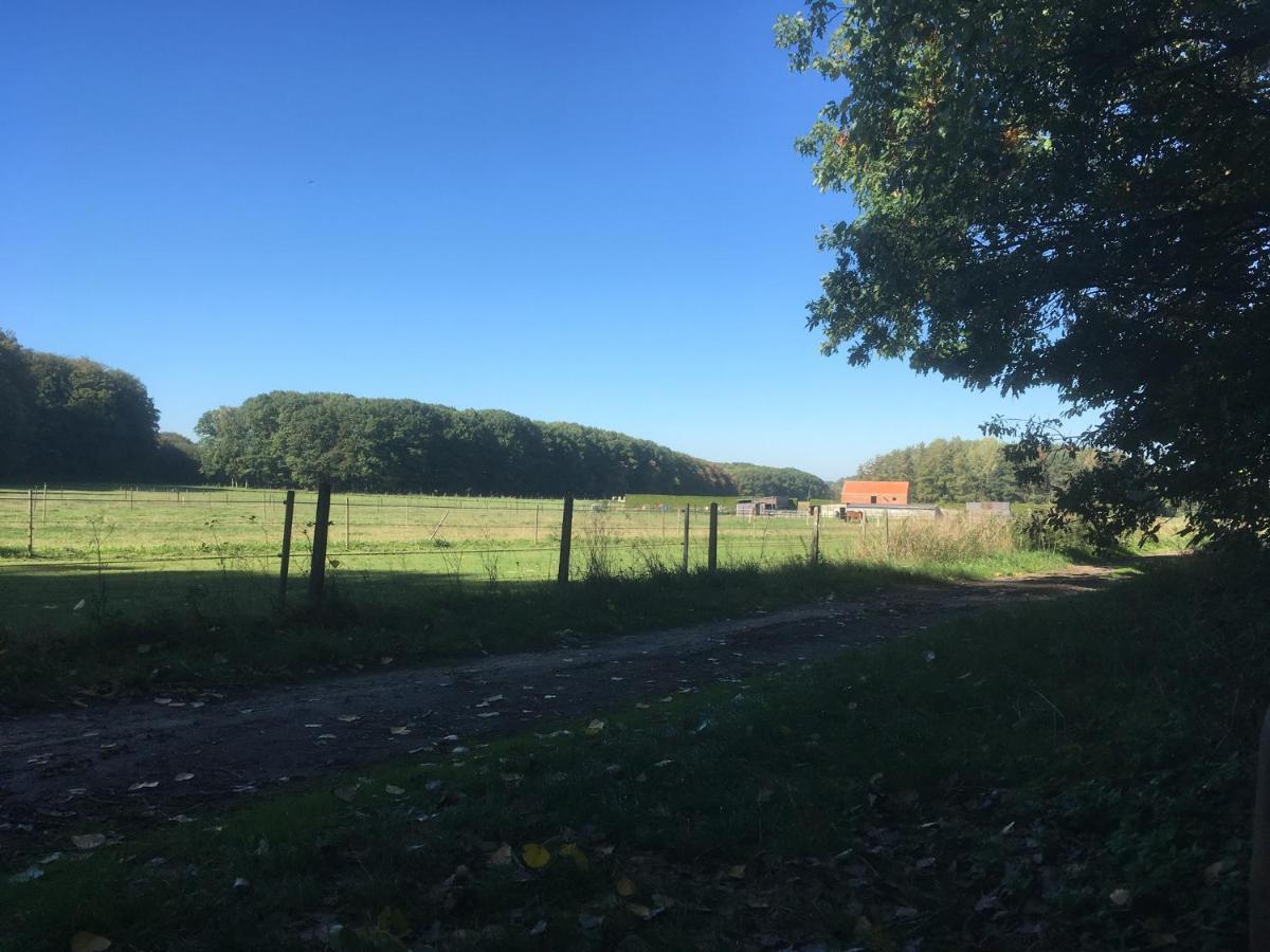 B&B Miranoza Oud-Heverlee Eksteriør billede