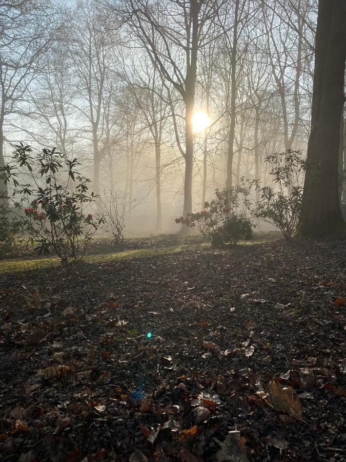 B&B Miranoza Oud-Heverlee Eksteriør billede